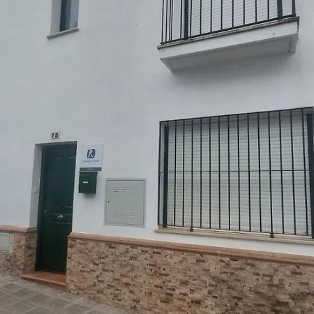 El Olivo Mio