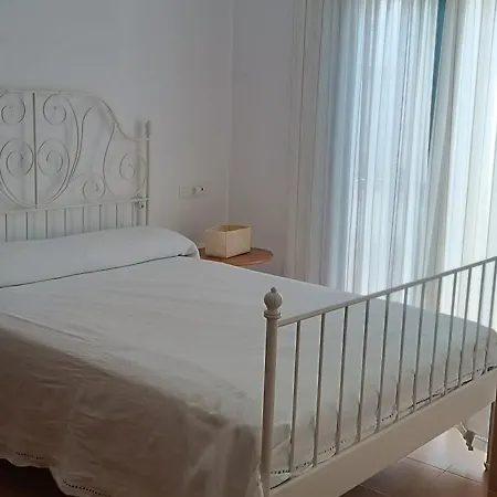 El Olivo Mio